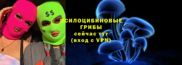 Альфа ПВП Балабаново