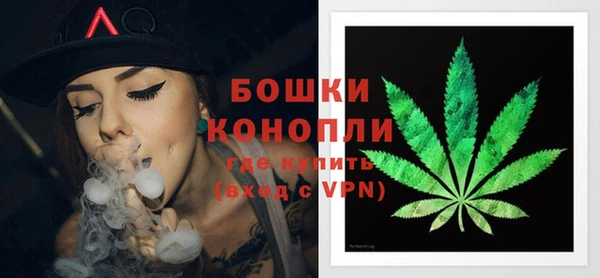 PSILOCYBIN Беломорск