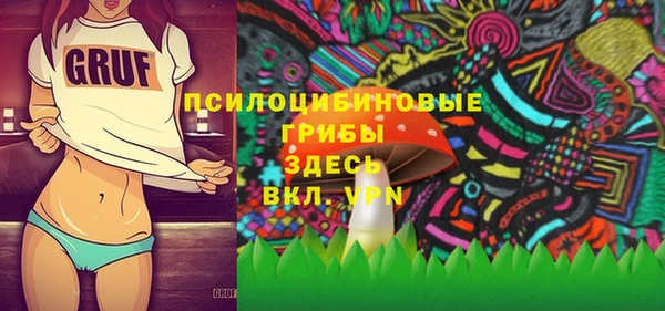 бутират Белокуриха