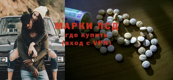 PSILOCYBIN Беломорск